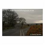 Roads in Dartmoor 05